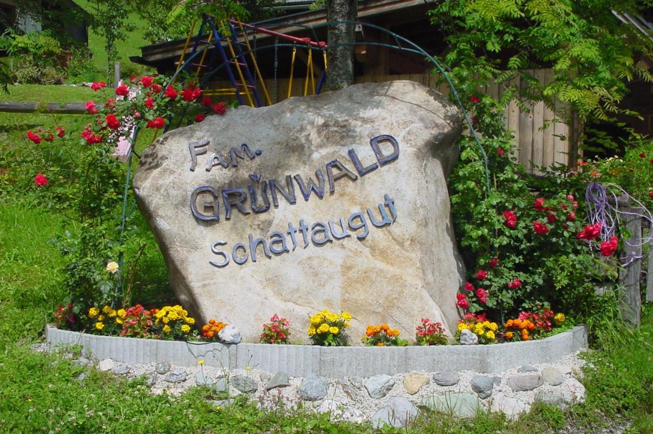 Schattaugut Eben Im Pongau Exterior foto